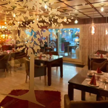 Hotel Am Park 4*