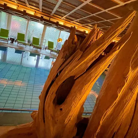 Hotel Am Park 4*