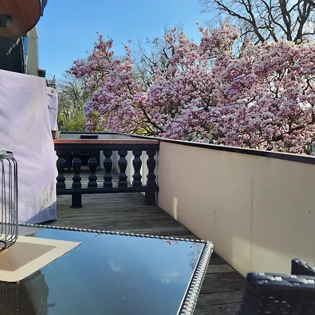 Am Park باد سفيشنآن